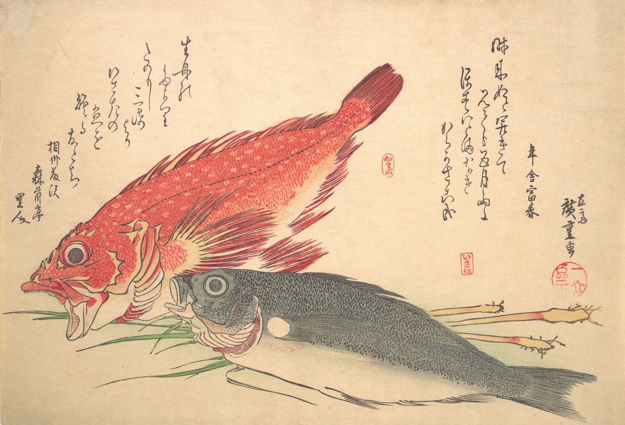 Isaki og Kasago Fish, fra serien Uozukushi Every Variety of Fish, 1830