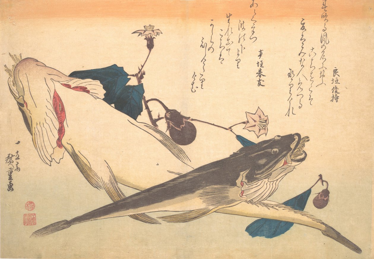 Kochi fisk med aubergine, fra serien Uozukushi Every Variety of Fish, 1830