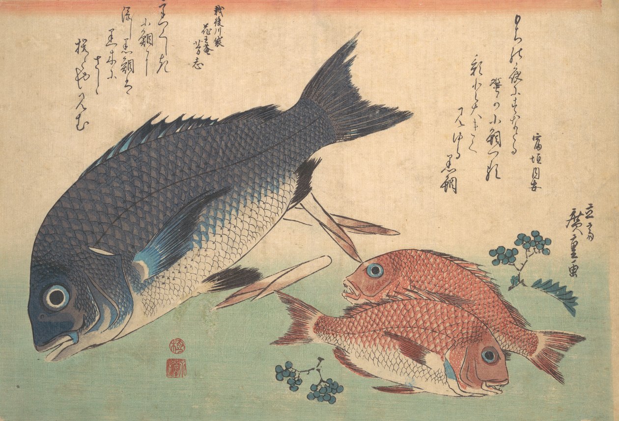 Kurodai og Kodai fisk med bambusskud og bær, fra serien Uozukushi Every V..., 1830