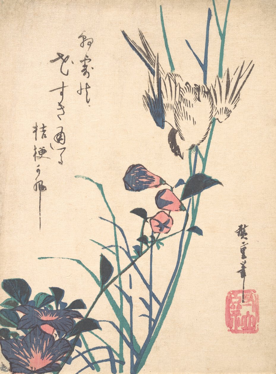 Storblomstret Fladnæb og Spurv, ca. 1833., ca. 1833. af Ando Hiroshige