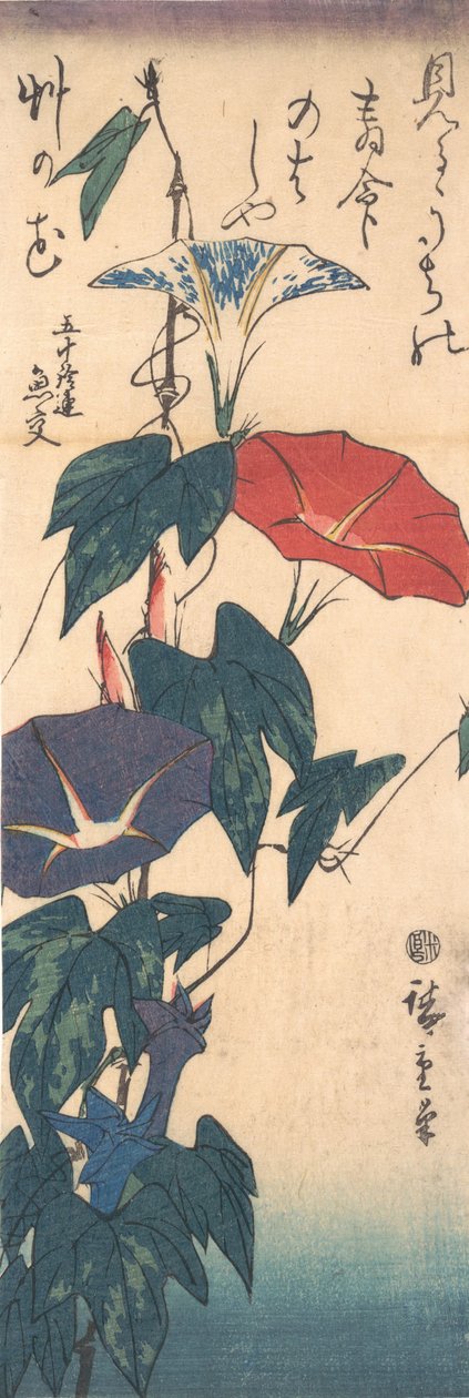 Morning Glories, ca. 1843., ca. 1843. af Ando Hiroshige