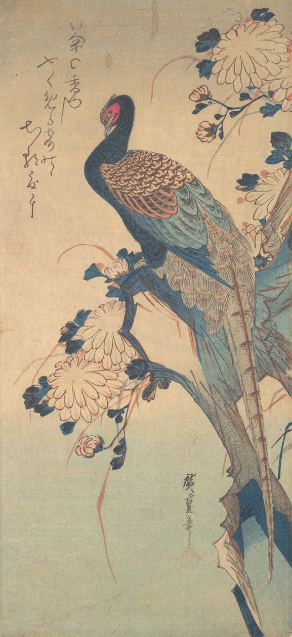 Fasan med krysantemum, ca. 1835., ca. 1835. af Ando Hiroshige