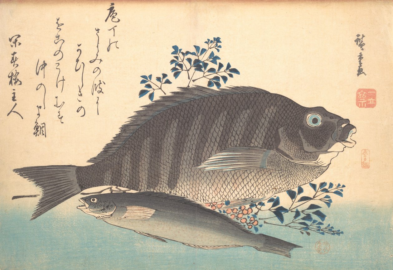 Shimadai og Ainame Fish, fra serien Uozukushi Every Variety of Fish, 1840