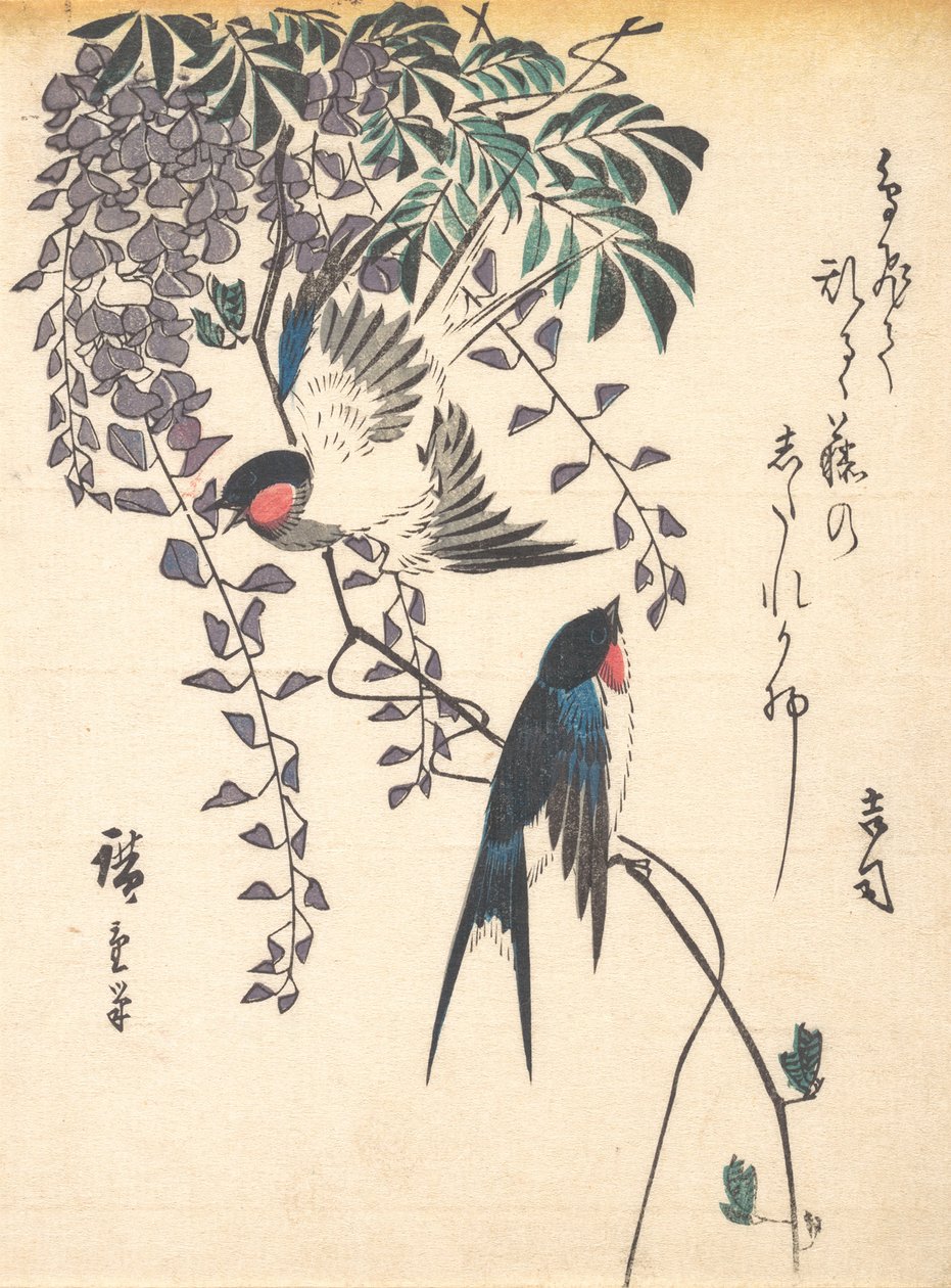 Svale og Wisteria, midten af 1840