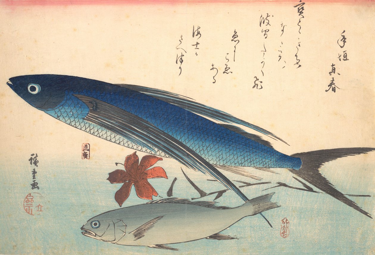 Tobiuo og Ishimochi Fish, fra serien Uozukushi Every Variety of Fish, 1840