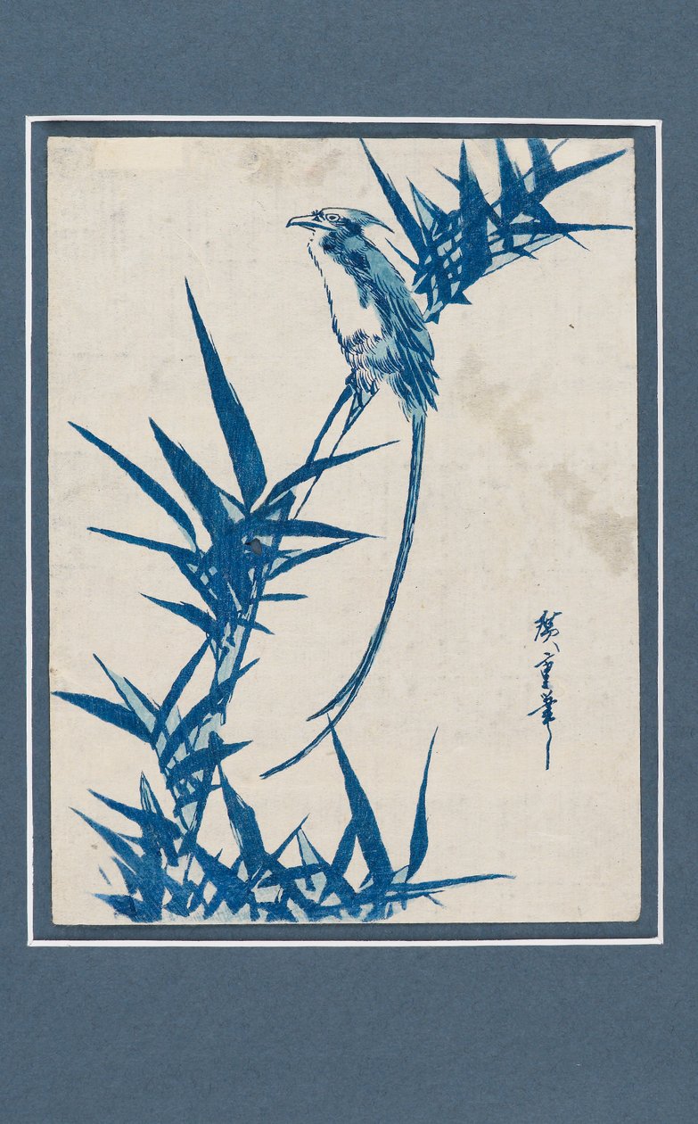 Ukiyo-e print - Fugl på en gren i blåt, c1820-1858 af Ando Hiroshige