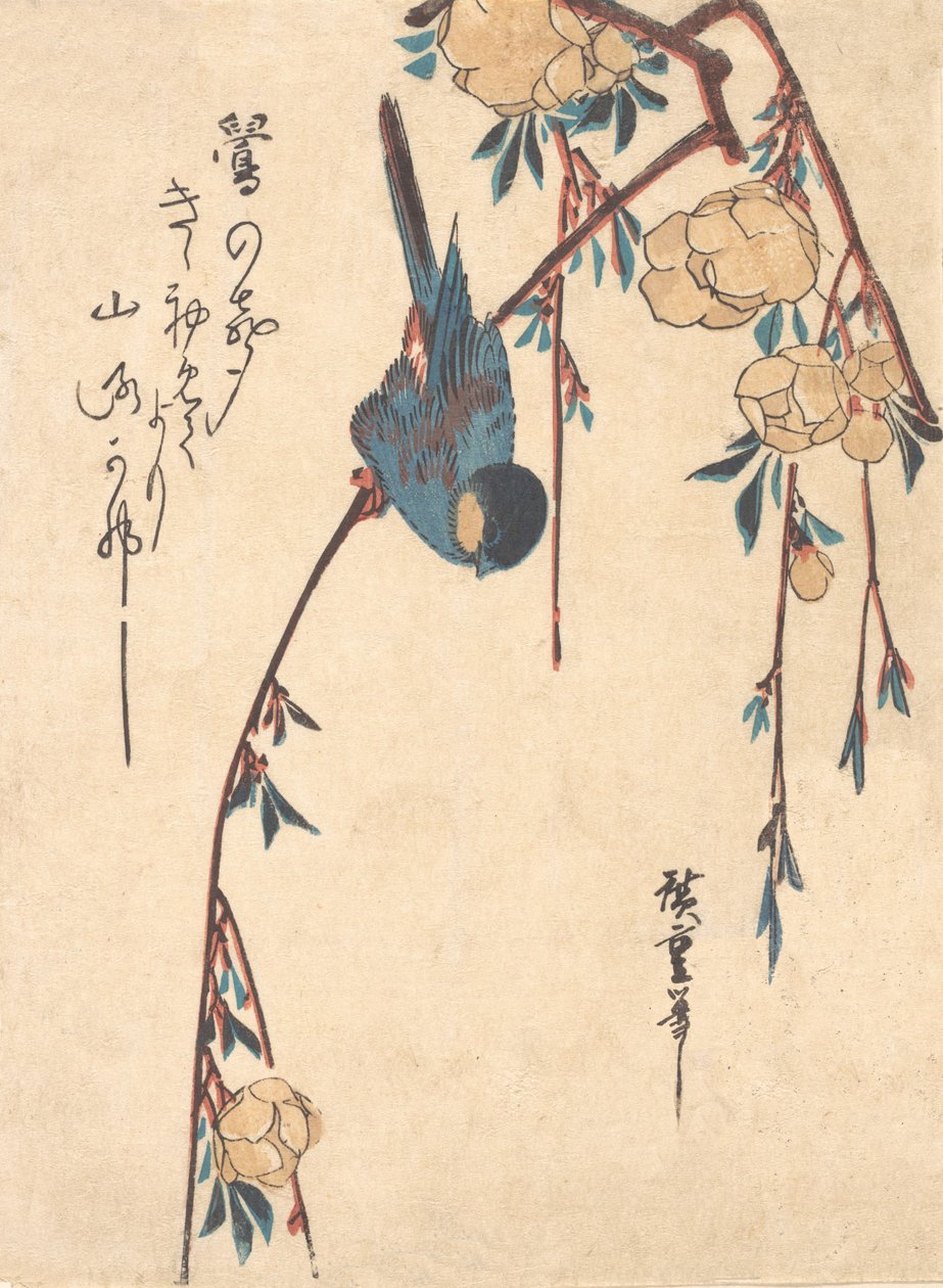 Grædende Kirsebær. af Ando Hiroshige