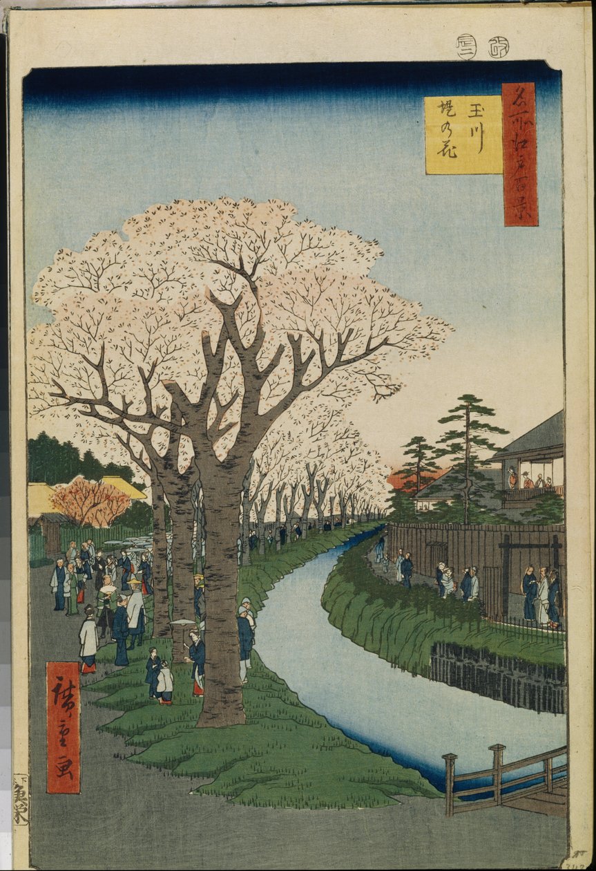 Cent vues celebres d "Edo: Cherry Blossoms on the Banks of the Tama Riverdani af Ando or Utagawa Hiroshige