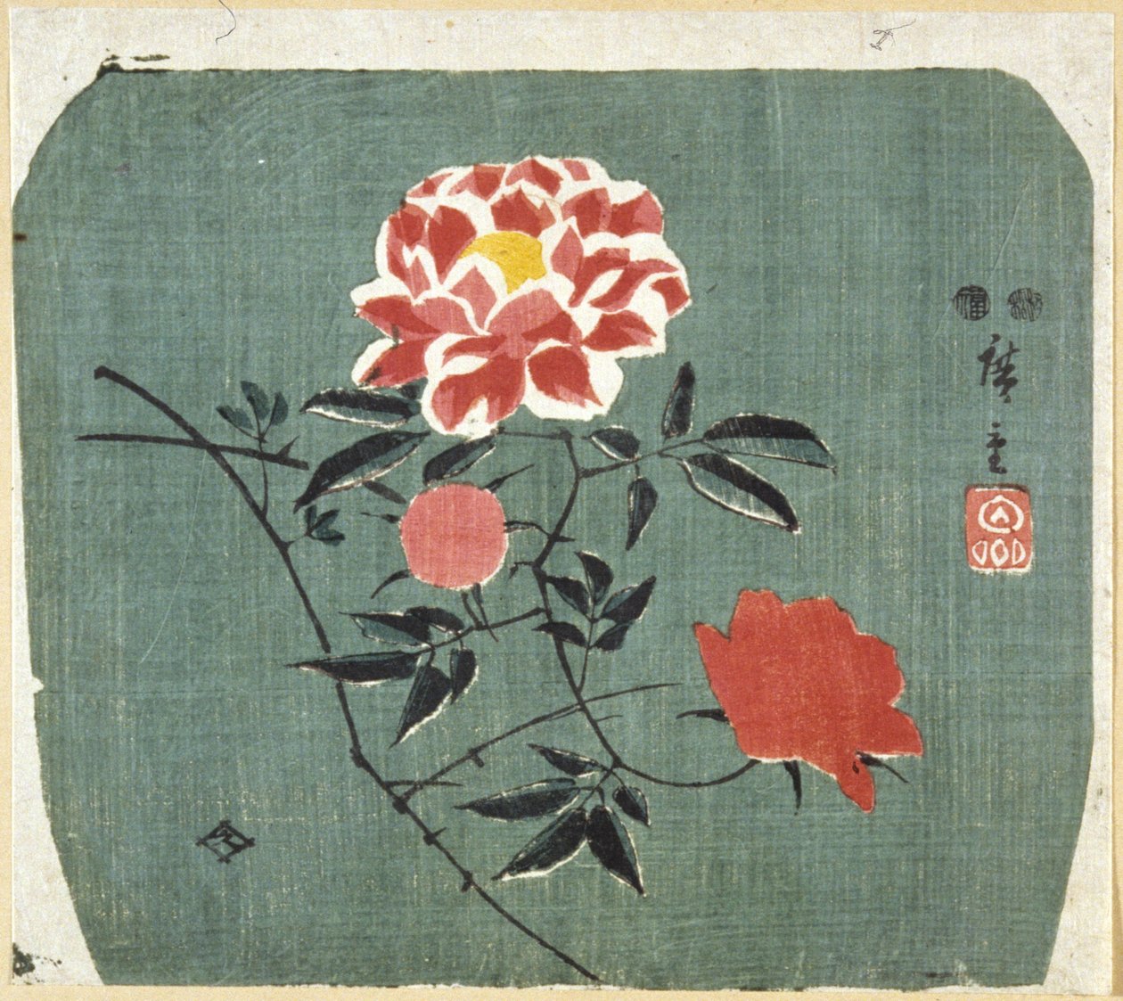 Viftetryk: Rose af Ando or Utagawa Hiroshige