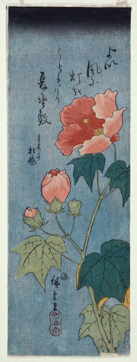 Blomstrende valmuer, Tanzaku af Ando or Utagawa Hiroshige