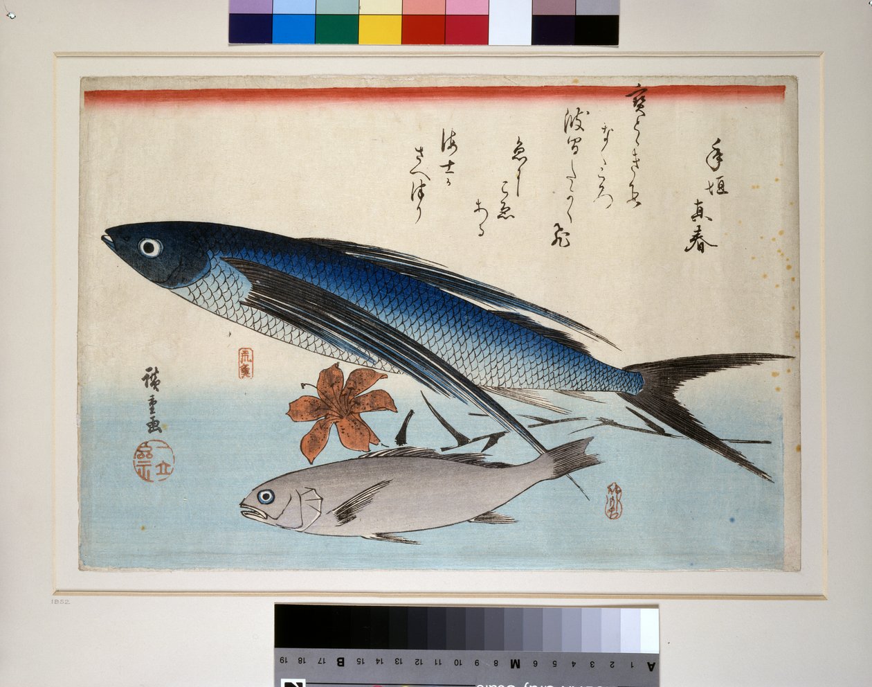 Flyvefisk, ishimochi-fisk og lilje af Ando or Utagawa Hiroshige