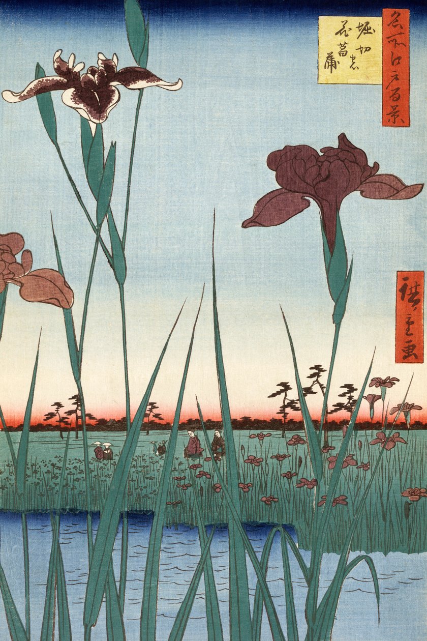 Horikiri Iris af Utagawa Hiroshige af Ando or Utagawa Hiroshige