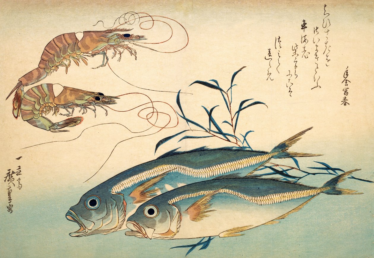 Japansk hestemakrel og japansk tigerreje (farvet træbloktryk) af Ando or Utagawa Hiroshige