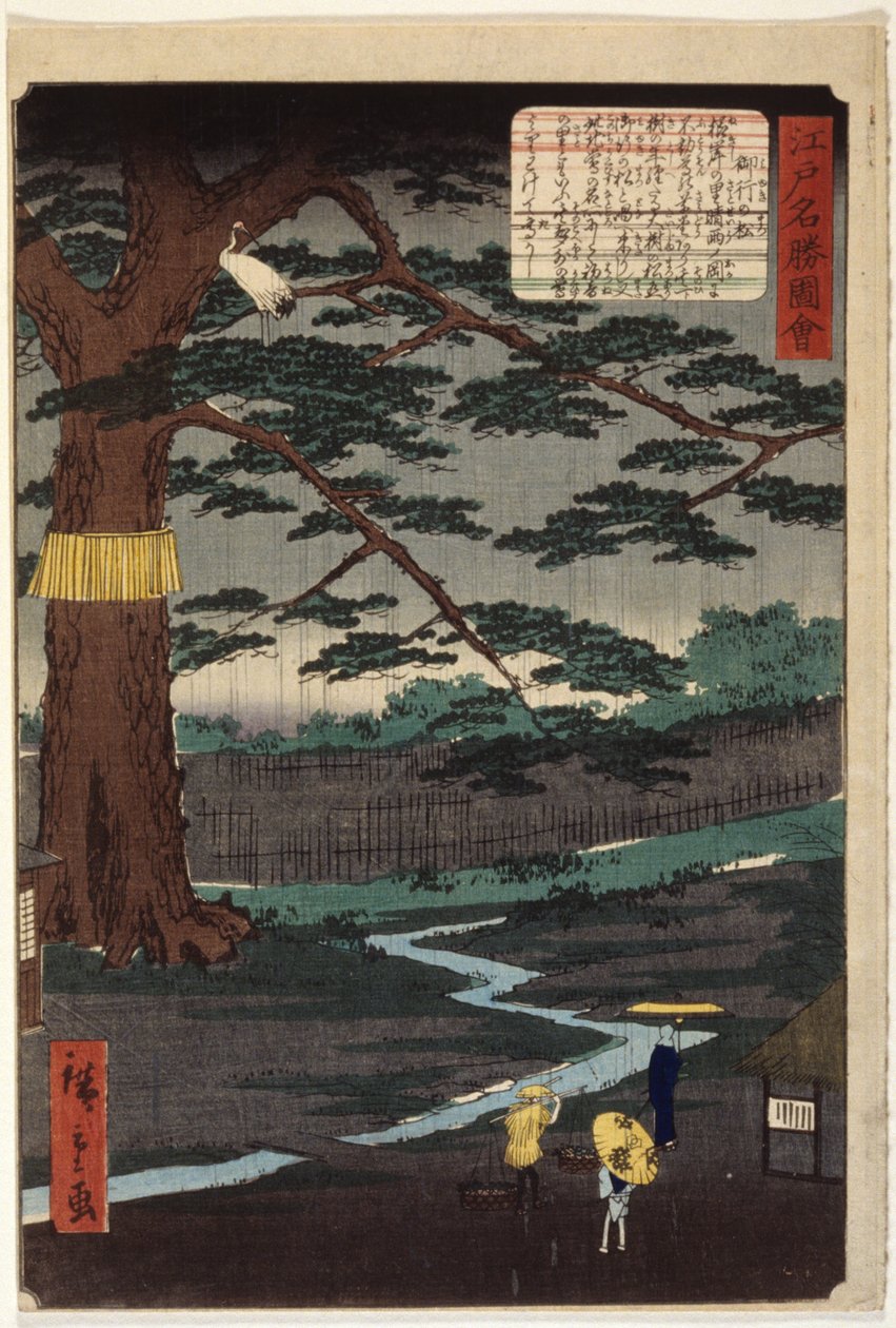 Miyuki Pine (træbloktryk i farver) af Ando or Utagawa Hiroshige