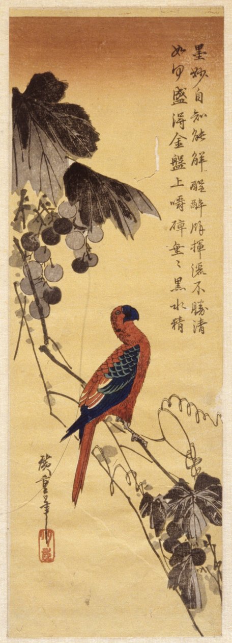 Papegøje og druer vinstokke (farvet træbloktryk) af Ando or Utagawa Hiroshige