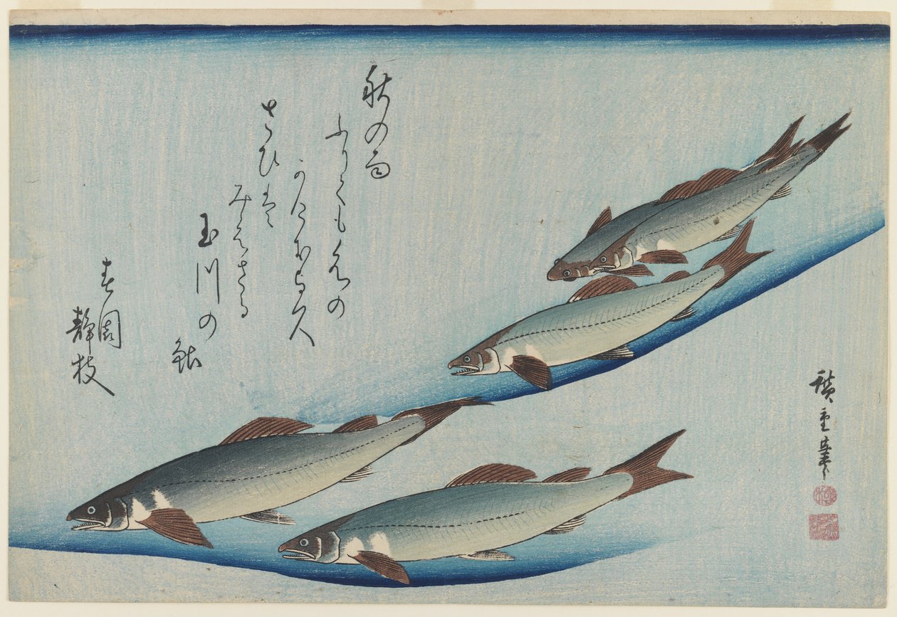 School of Five Sea Trout, Edo Period (farvet træbloktryk på papir) af Ando or Utagawa Hiroshige