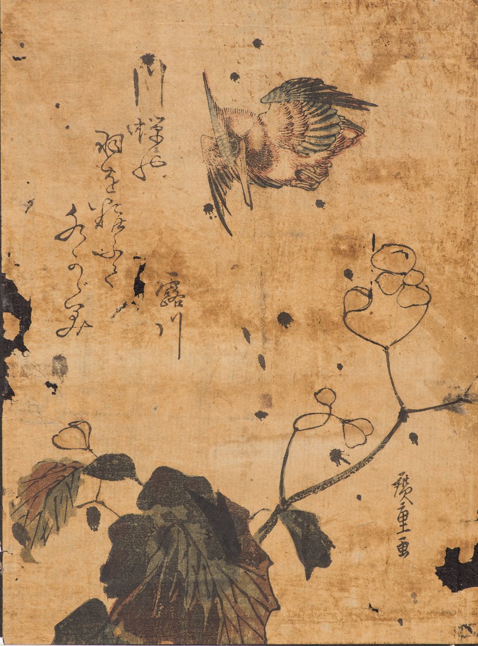 Undersøgelse af fugl og plante af Ando or Utagawa Hiroshige