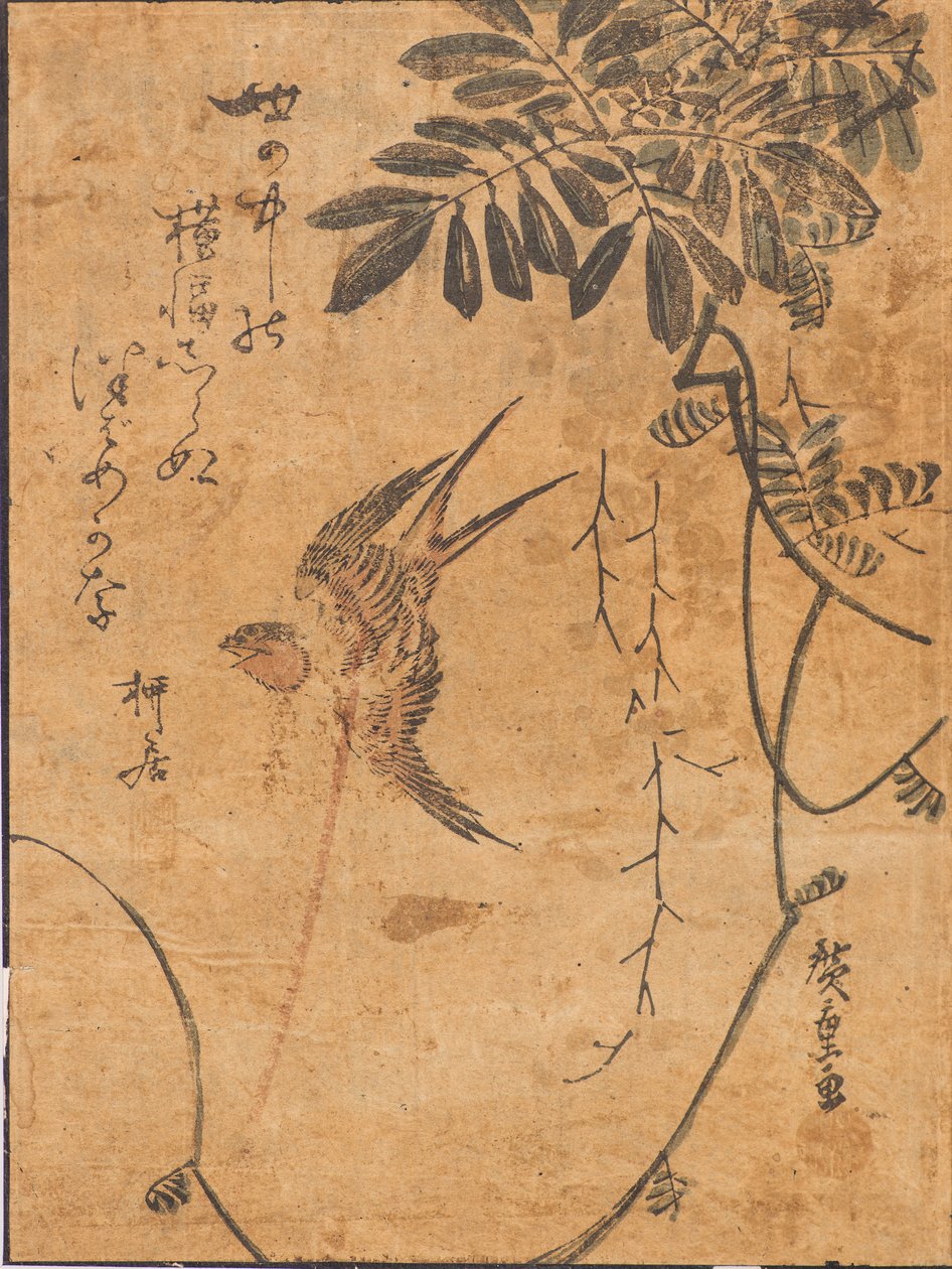 Undersøgelse af fugl i flugt og plante af Ando or Utagawa Hiroshige
