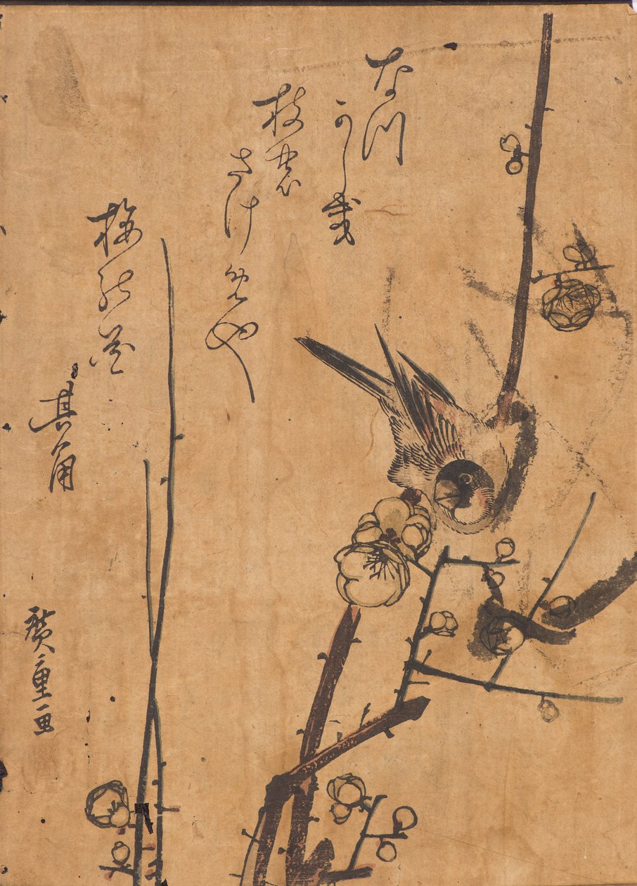Undersøgelse af fugl, der sidder på gren af Ando or Utagawa Hiroshige