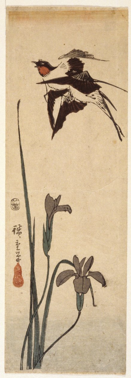 Swallows And Iris (farvet træbloktryk) af Ando or Utagawa Hiroshige