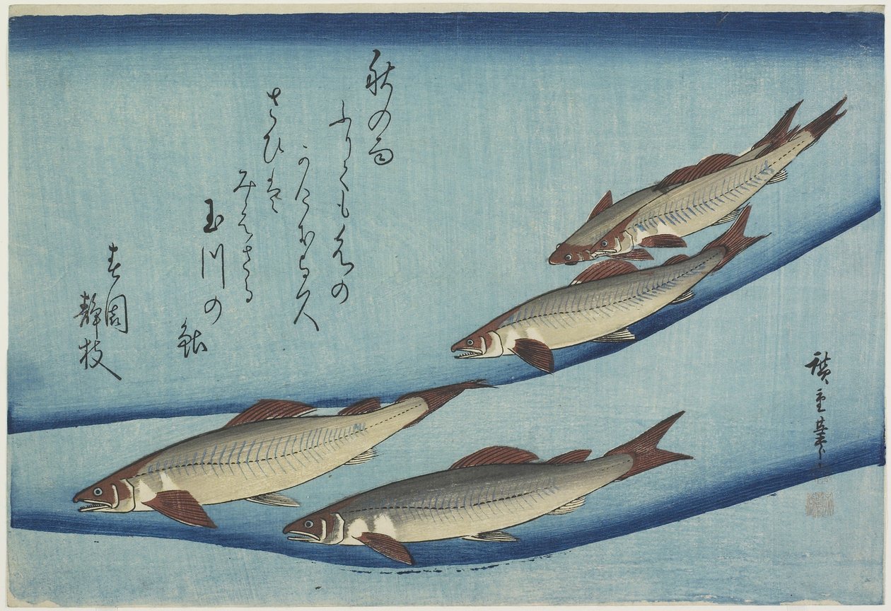 Ørred af Ando or Utagawa Hiroshige