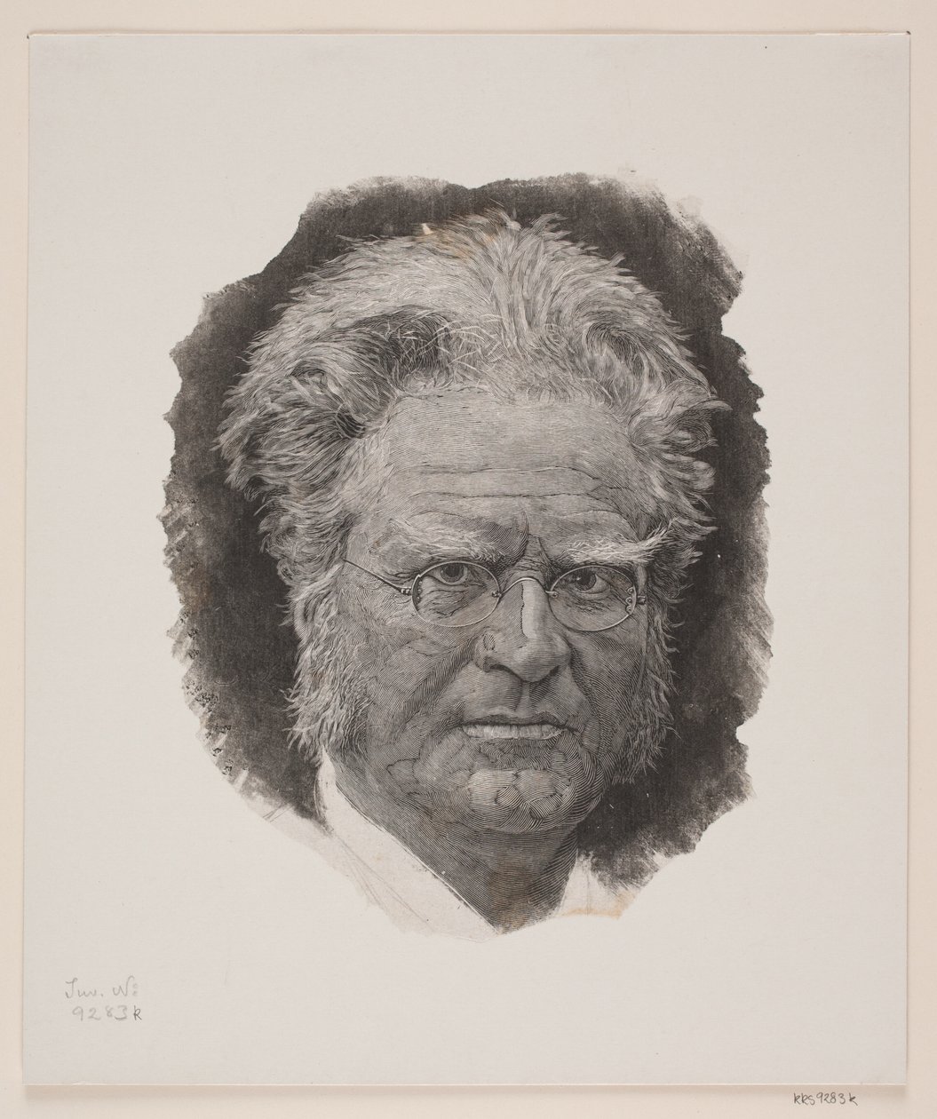 Bjørnstjerne. Bjørnson af André Bork