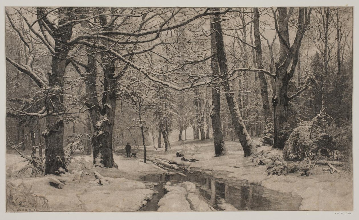 Vinterdag i en skov af André Bork