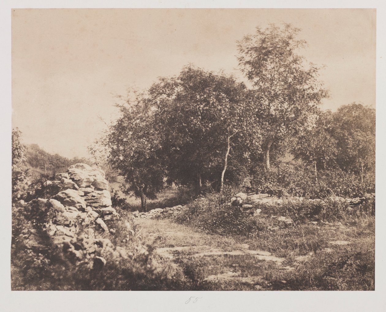 Uden titel Scene of Fontainbleau, ca. 1853. af André Giroux