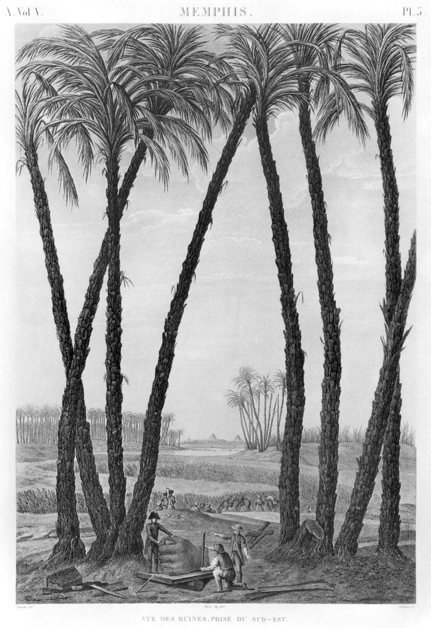 Udsigt over ruinerne af Memphis set fra sydøst, indgraveret af Jean Louis Delignon (1755-1804) af Andre Dutertre