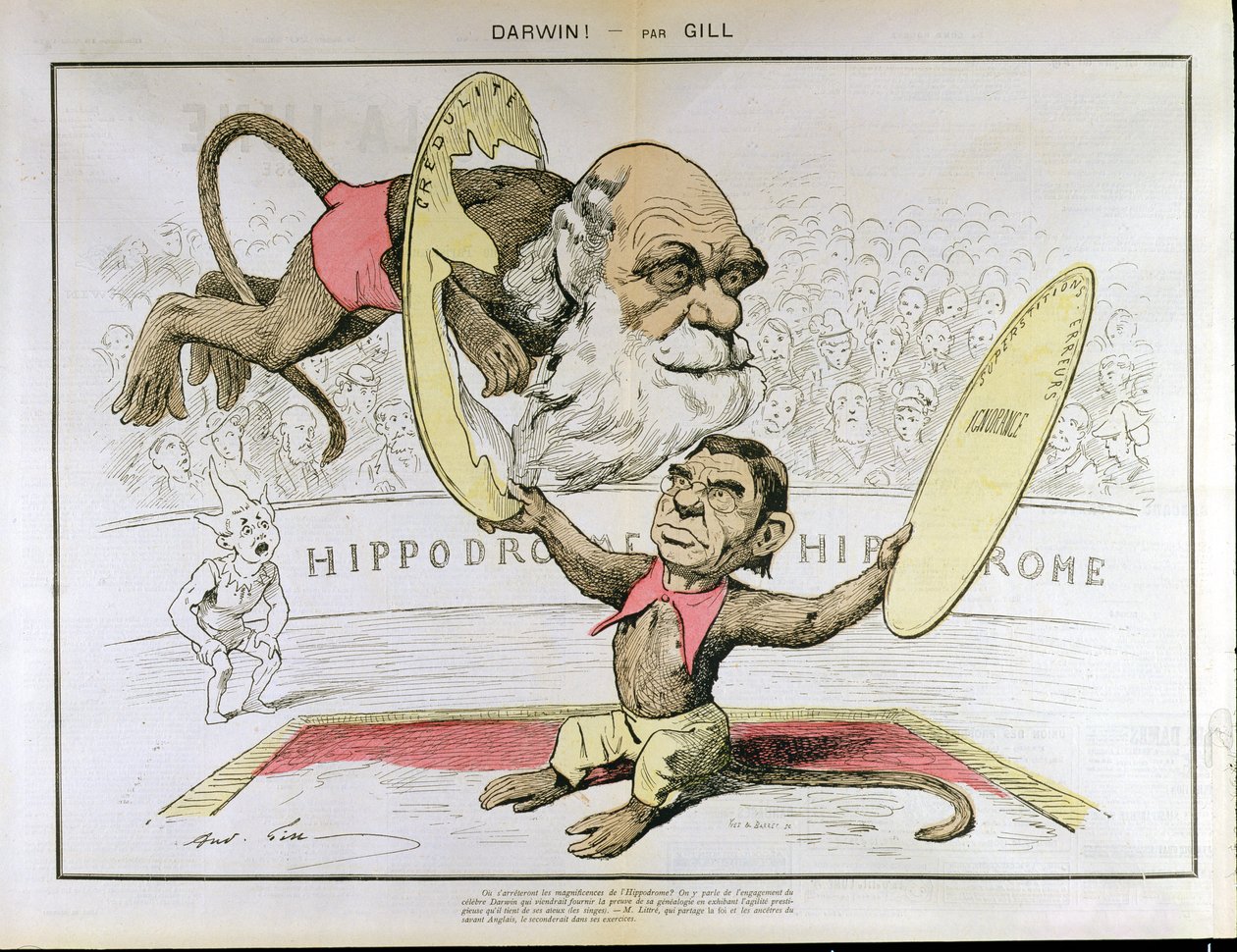 Karikatur af Charles Darwin (1809-1882) og Emile Littre (1801-1881), der forestiller dem som optrædende aber i et cirkus af Andre Gill