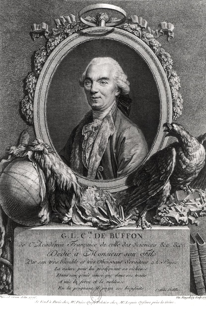 Georges-Louis Leclerc (1707-88) greve af Buffon, graveret af Vincenzio Vangelisti (1738-98) 1777 af Andre Pujos