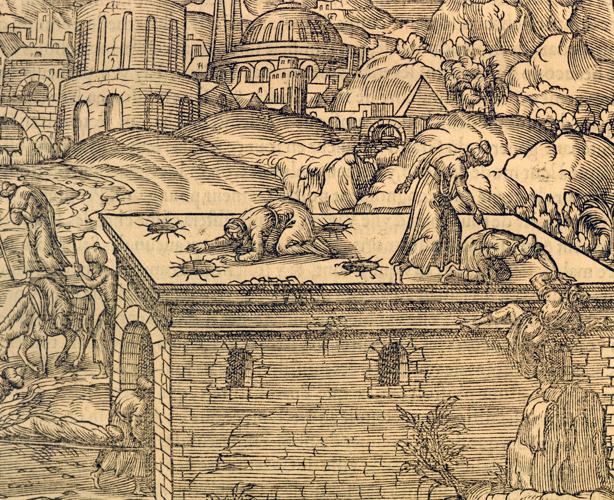 Den kristne kirkegård i Acheldemach, stik fra Cosmographie universelle, af André Thevet (1504-1592), Paris af Andre Thevet