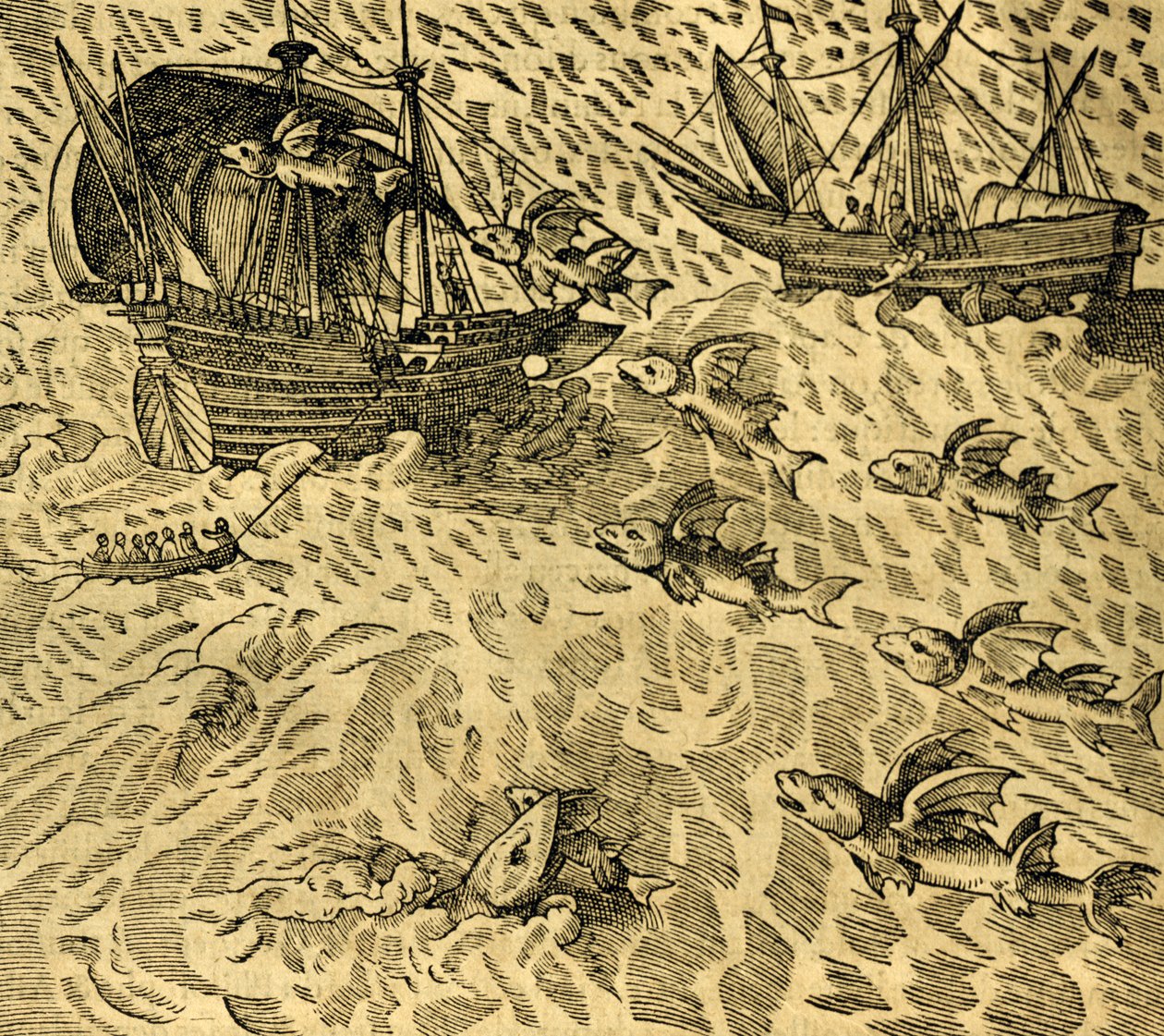 Flyvende fisk i tropiske hav, gravering fra Cosmographie Universelle, af Andre