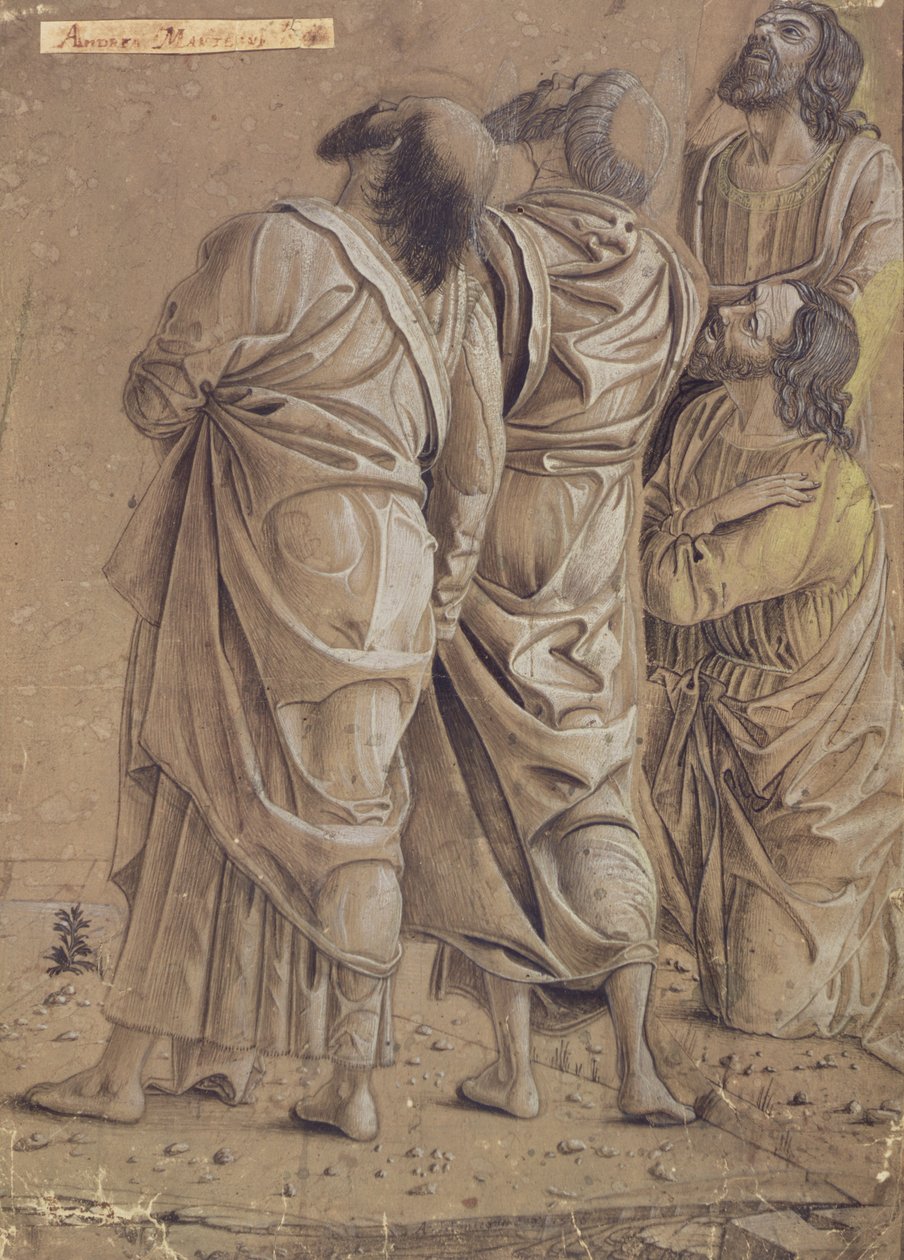 Gruppe af apostle fra Kristi himmelfart, ca. 1506 (farvet blæk, brun vask) af Andrea Mantegna