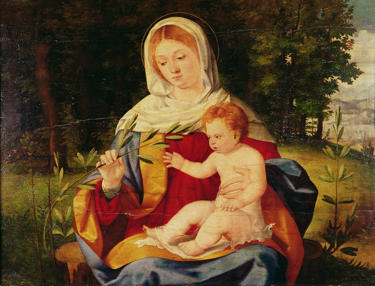 Jomfruen og barnet med et oliventræ, ca.1515 (olie på træ) af Andrea Previtali