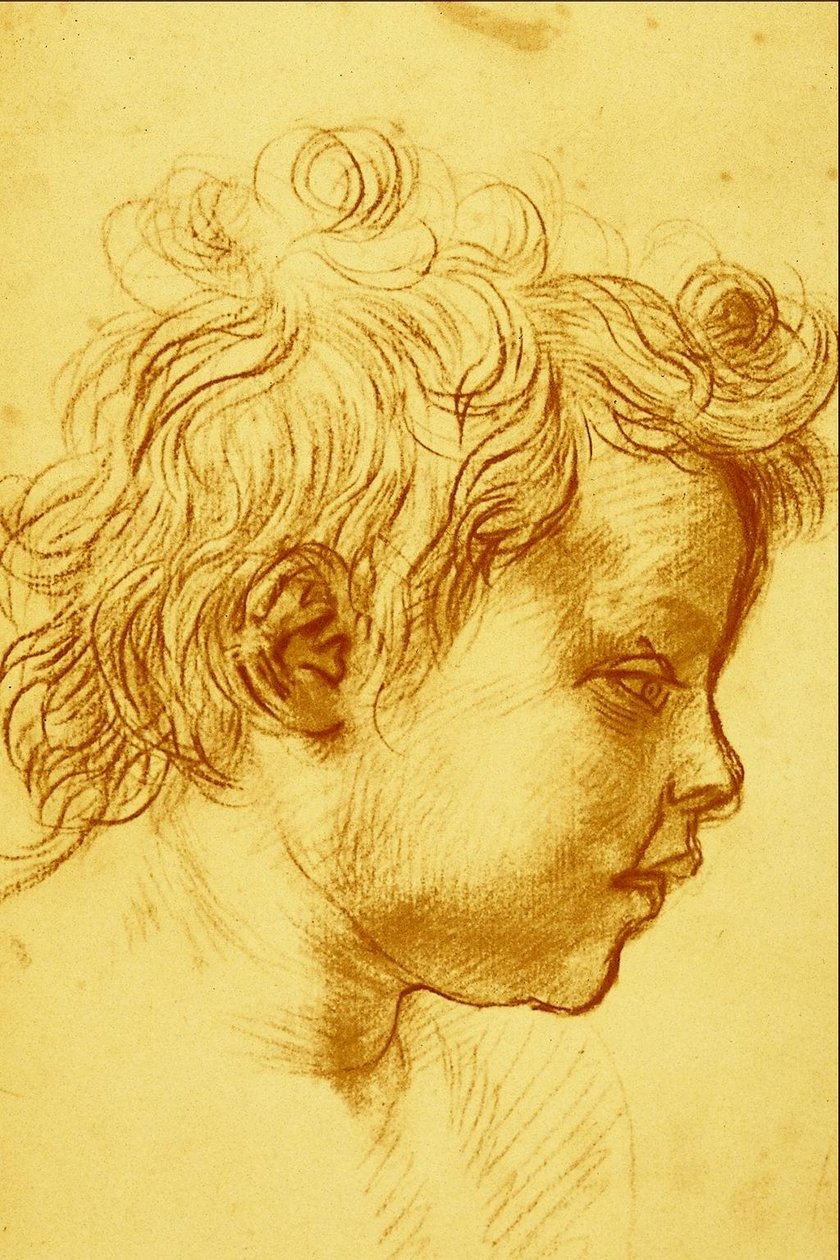 Andrea del Sarto af Andrea del Sarto