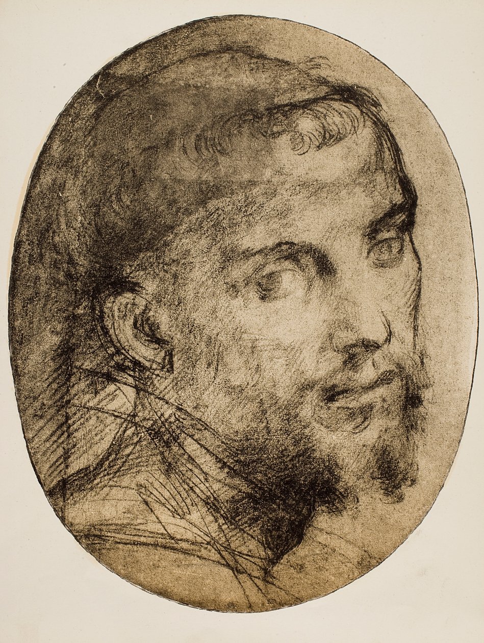 Studie til et religiøst portræt af Andrea del Sarto