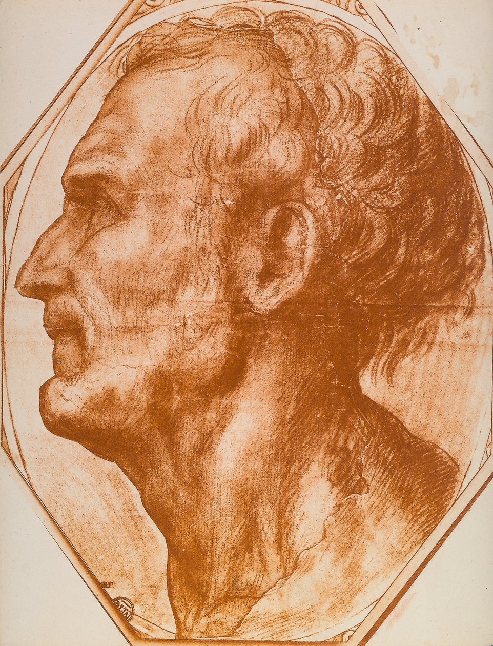 Studie af et mandshoved; tegning af Andrea del Sarto