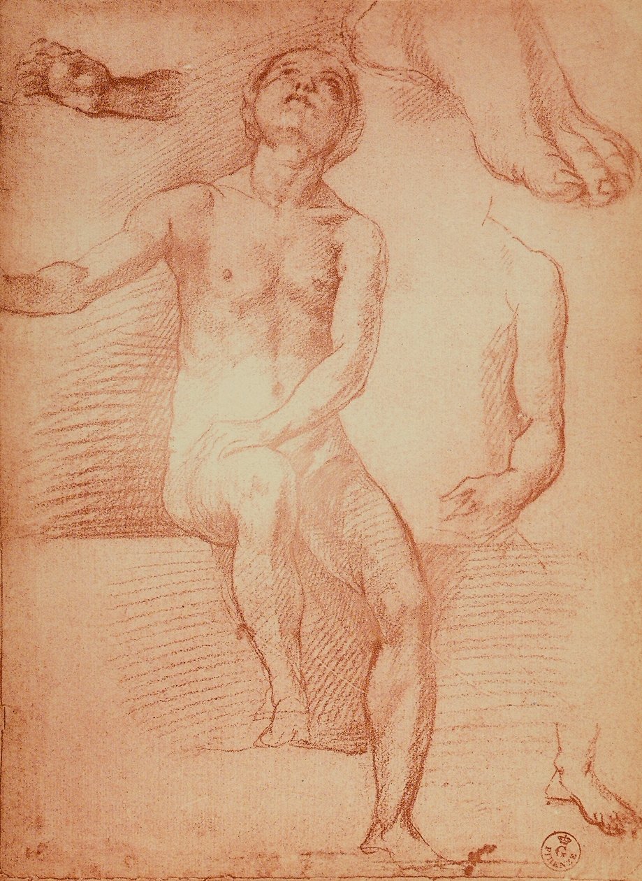 Studie af en nøgen figur og menneskelige lemmer, tegning af Andrea del Sarto. Kabinet for tegninger og tryk, Uffizi Gallery, Firenze af Andrea del Sarto