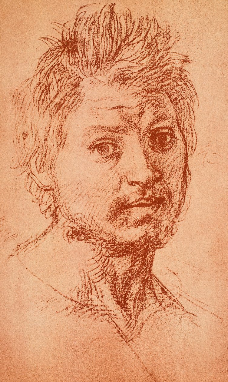 Virilt hoved af Andrea del Sarto