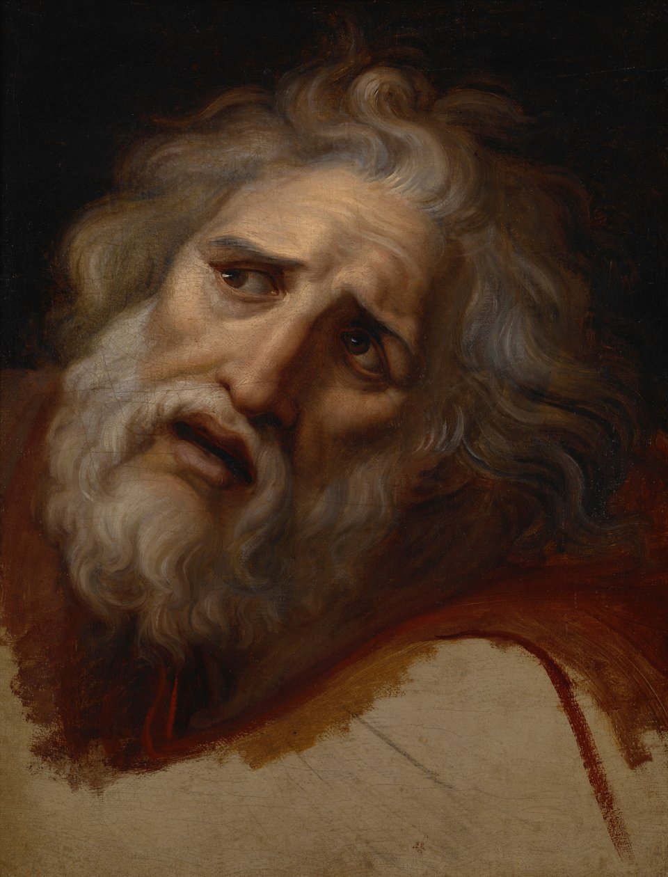 Leder af Laocoon af Andrea the Elder Appiani