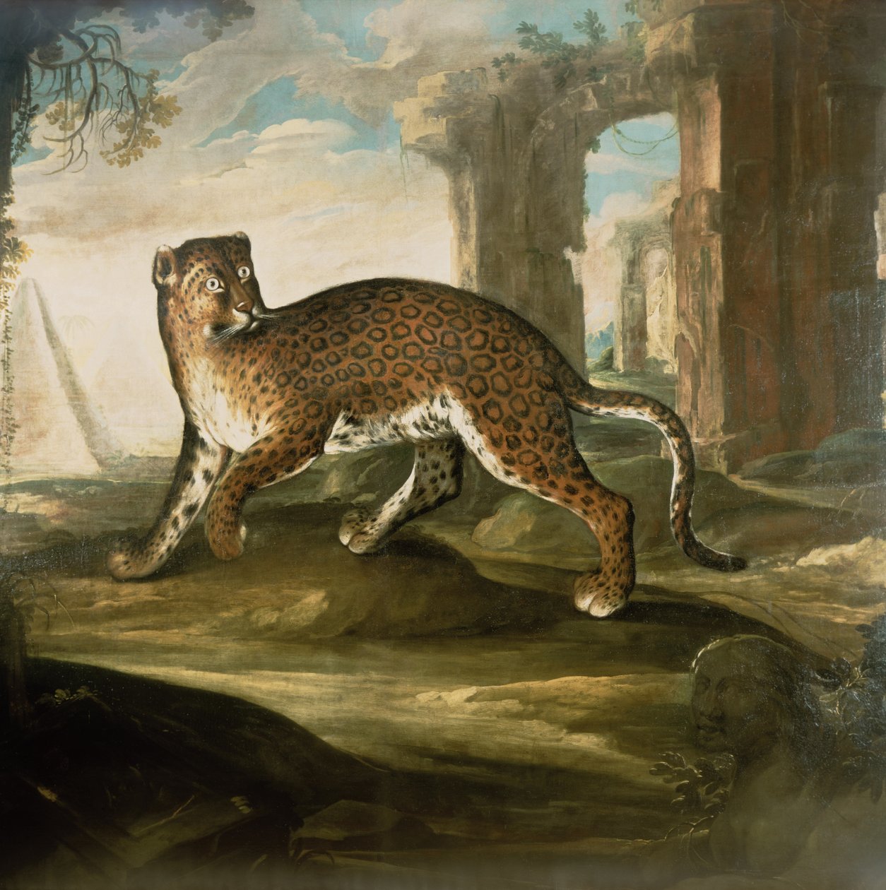 Til Jaguar af Andrea the Elder Scacciati