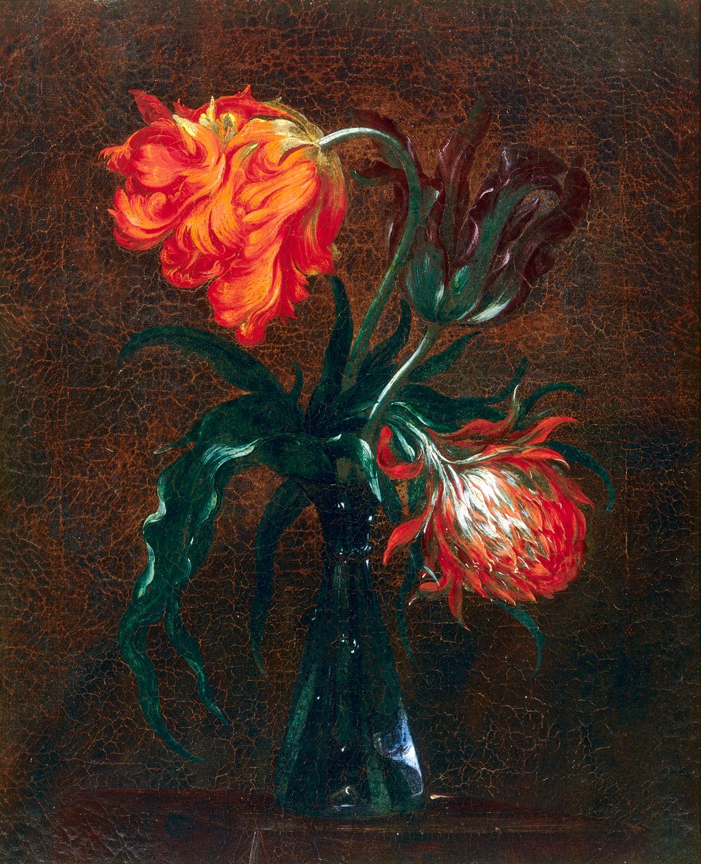 Glasvase med to tulipaner af Andrea the Elder Scacciati