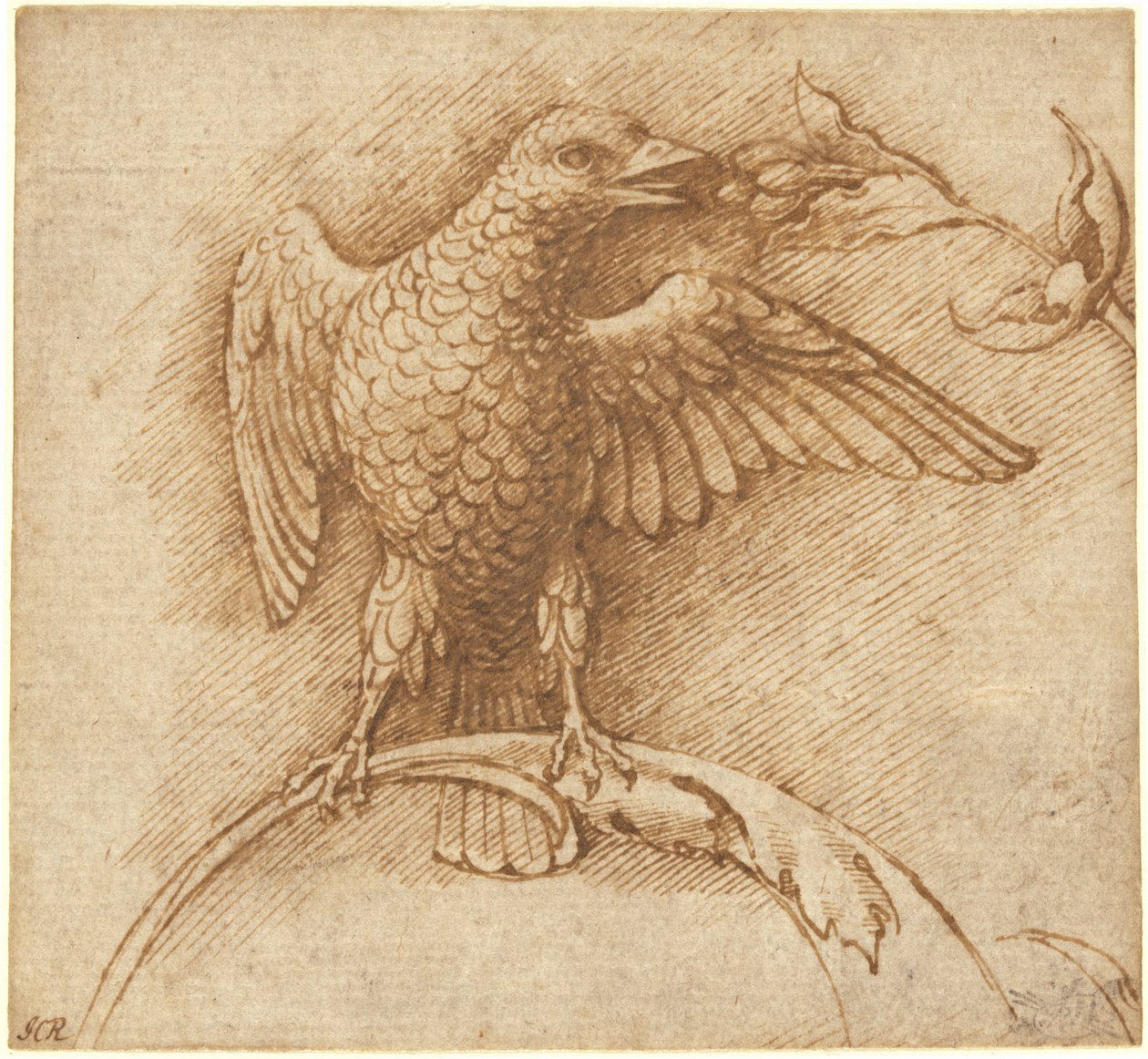 En fugl, der sidder på en gren med frugt af Andrea Mantegna