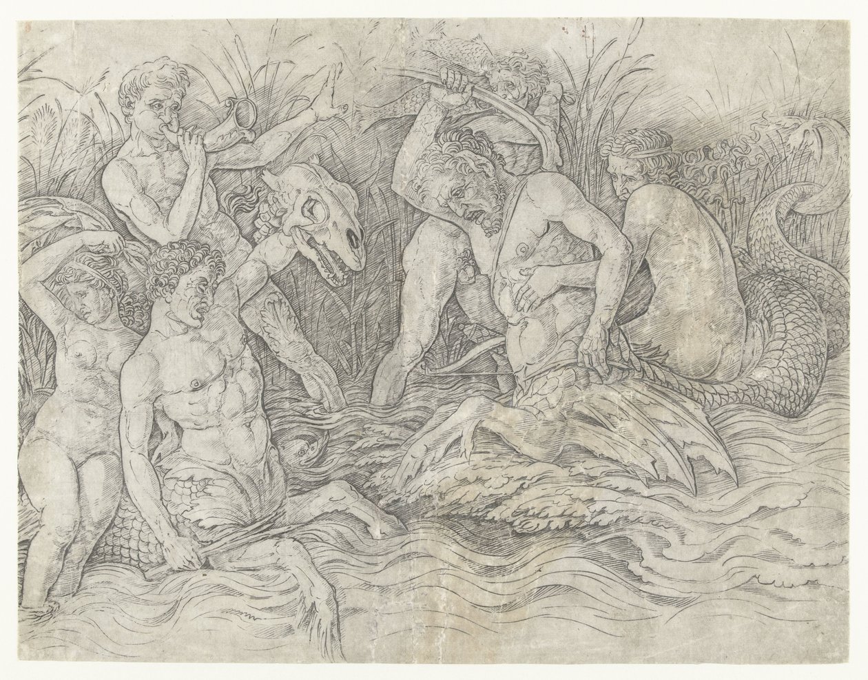 Kamp mellem tritoner med nereider på ryggen Slaget ved havguderne af Andrea Mantegna