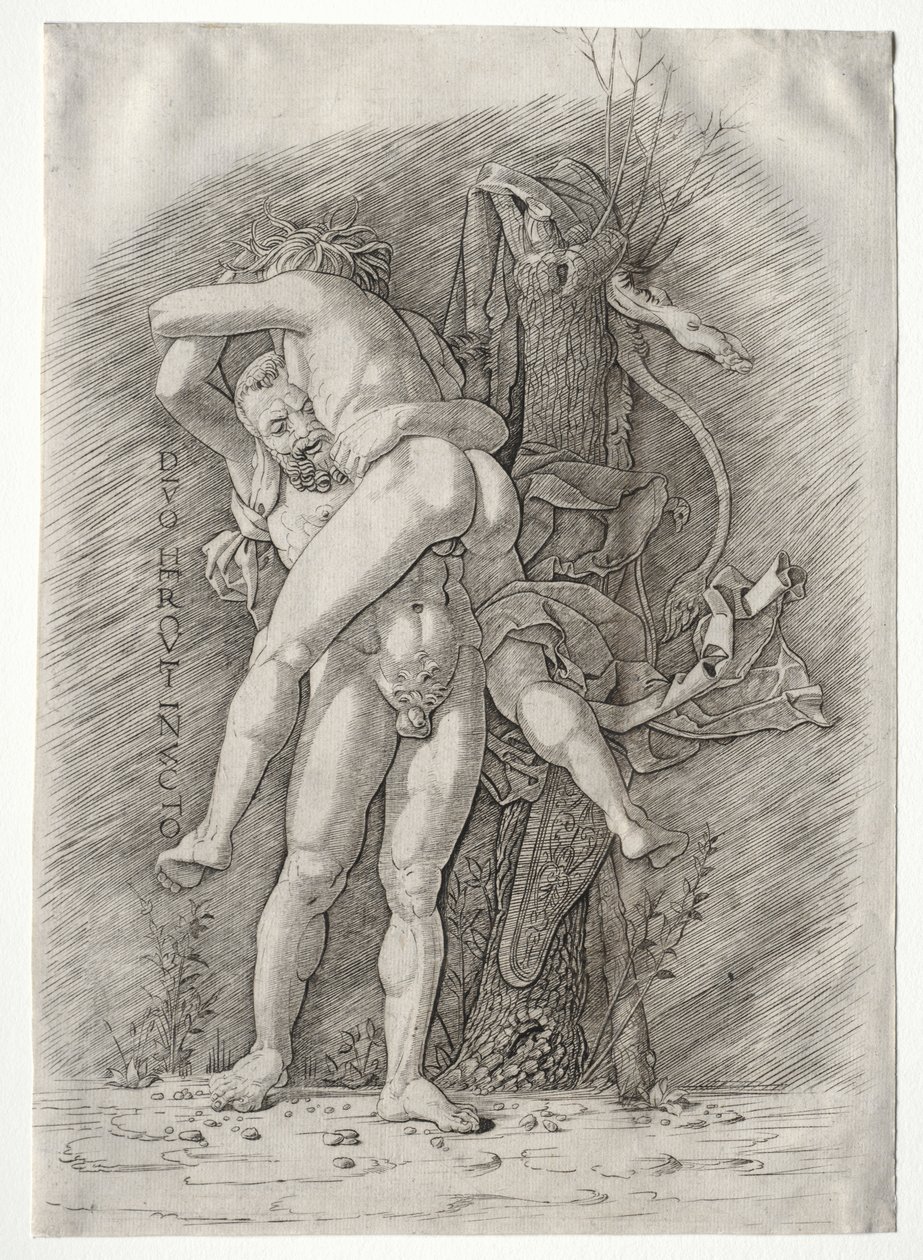 Herkules og Antaeus, 1400-tallet. af Andrea Mantegna