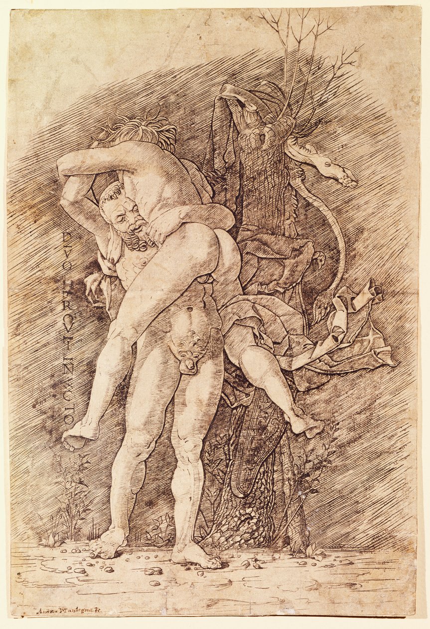 Hercules og Antaeus, af Andrea Mantegna (1431-1506), tegning. af Andrea Mantegna