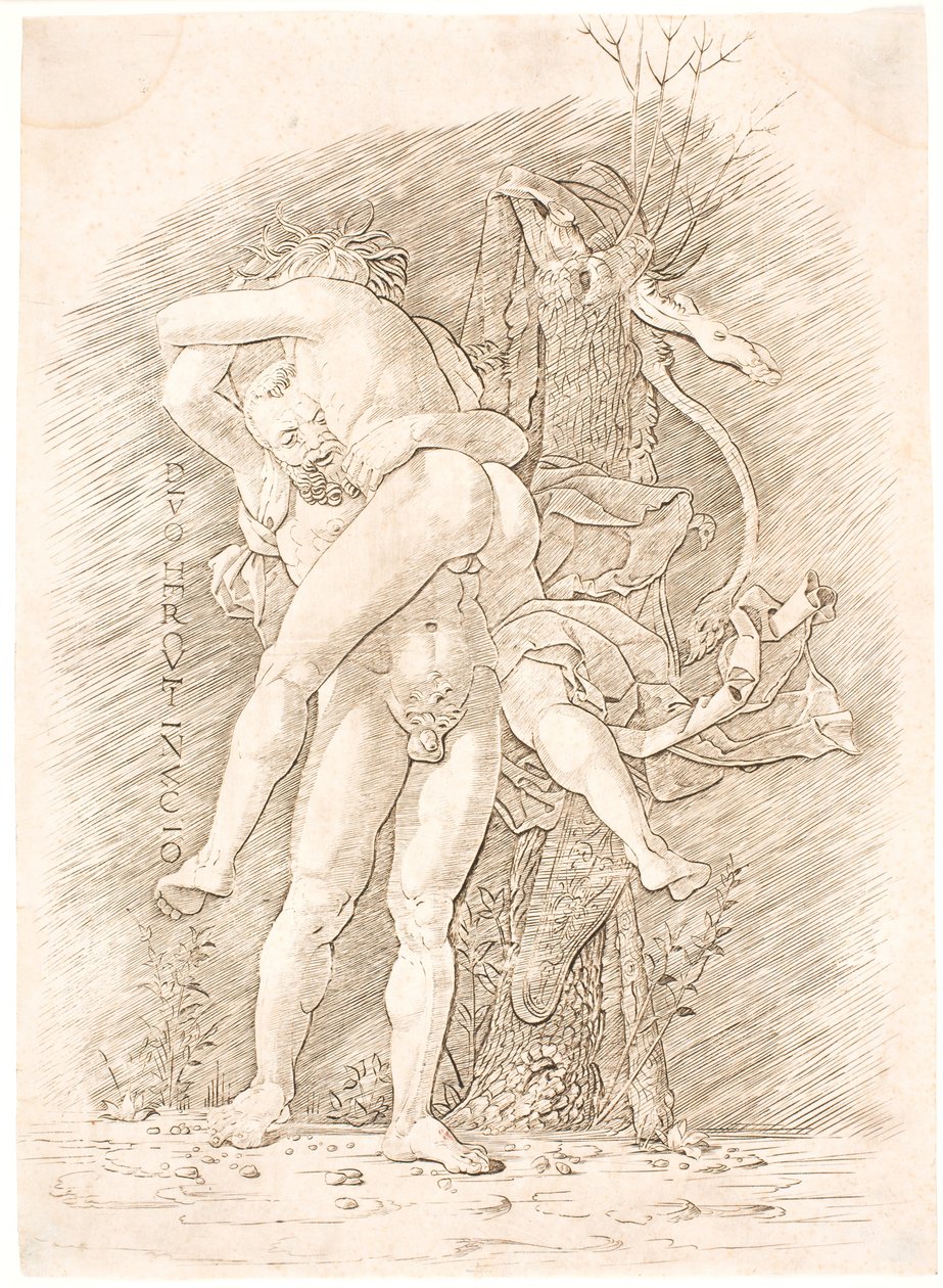 Herkules og Antæus af Andrea Mantegna