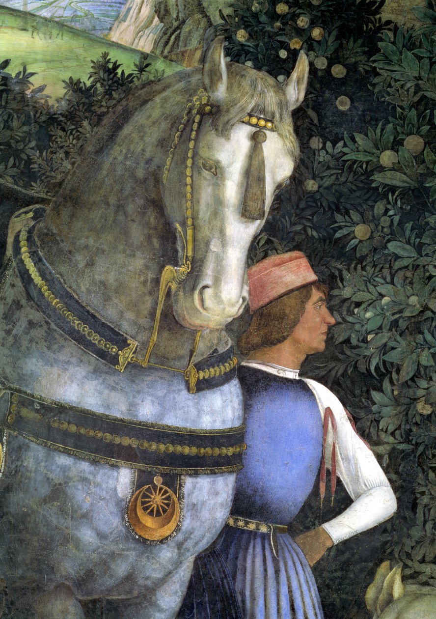 Hest og hestepasser, fra Camera degli Sposi eller Camera Picta, 1465-74, fresko detalje af 78449 af Andrea Mantegna