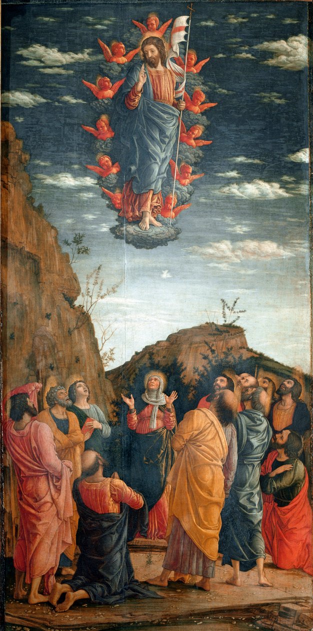 Opstigningen. Maleri af Andrea Mantegna (1431-1506) af 1460. 86x42,5 cm. Firenze, Galleria degli Uffizi. - Kristi himmelfart, af Andrea Mantegna (1431-1506). Tempera på træ, 86x42,5 cm af Andrea Mantegna